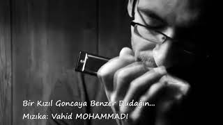 Bir Kızıl Goncaya Benzer Dudağın  Mızıka  Vahid MOHAMMADI [upl. by Suinotna]