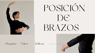 Aprende las posiciones básicas de BRAZOS en el Ballet [upl. by Ferdy235]