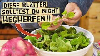 Nicht wegwerfen Die Blätter von Süßkartoffeln sind eine Delikatesse So kochst du mit ihnen [upl. by Arihaz379]