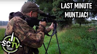 SampC TV  Last Minute Muntjac  Deer management with Chris Rogers 27 [upl. by Sherburn]