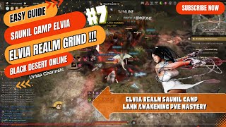 1 Hour grind Elvia Realm Saunil Camp Lahn Awakening PvE Mastery  Black Desert Online [upl. by Sliwa]