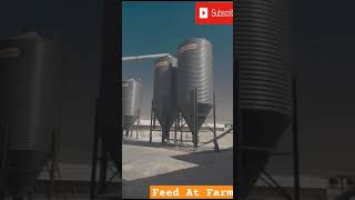 Feed At Farm  Broiler Feed Truck  Feeds in Silos  Broiler Feeds poultry feed poultry world [upl. by Xenos]