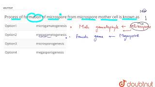 Process of formation of microspore from microspore mother cell is known as [upl. by Ahcropal997]