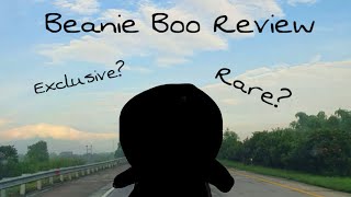 Beanie Boo Review  Exclusive Beanie Boo [upl. by Pascoe]