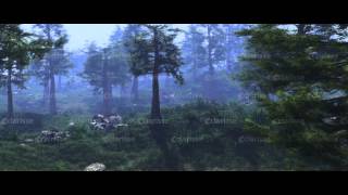 Houdini  Speedtree  Clarisse IFX Forest RampD [upl. by Adiell160]