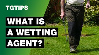 TG Tips  Whats The Use of a Wetting Agent on Your Lawn [upl. by Innep820]