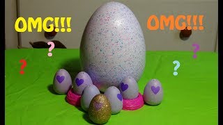 HATCHIMALS PUZZLE EGG FULL OF HATCHIMALS COLLEGGTIBLES [upl. by Dorine]