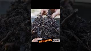 Composting Hoax or Hope renewableenergy foodtechnology [upl. by Hugo]