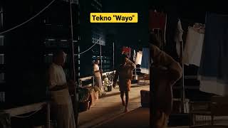 Tekno release new hit song quotWayo [upl. by Oad]