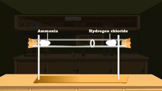 Diffusion in gases [upl. by Kitchen]