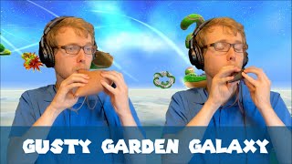 Super Mario Galaxy  Gusty Garden Galaxy  Ocarina Duet [upl. by Dahle]