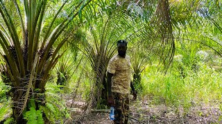 Accès à l’eau potable  Adebayor finance un projet de forage à Lavie Sheyi Emmanuel Adebayor [upl. by Greenberg]