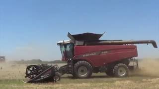 Wheat Harvest 2016  Gotebo Oklahoma  Oil Wells and Terraces [upl. by Lissy266]