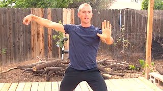 Become a Tai Chi Master in 5 Steps [upl. by Nitsraek468]