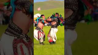 DavharBayars Best Takedown  Inner Mongolian Wrestling [upl. by Longo]