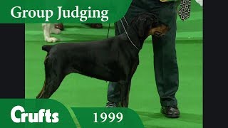 Doberman wins Working Group Judging at Crufts 1999 [upl. by Ennaus]