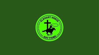 Elkhart Horse Auctions is live [upl. by Emlynne640]