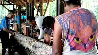 Who Likes Bubo Scandiacus Watch This  The natural beauty of the sawmill process [upl. by Apoor]