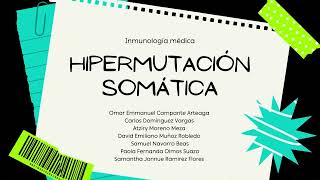 Hipermutación somática [upl. by Anirod]