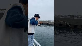 豊浜釣り桟橋アイゴゲット🤝 釣りアイゴ豊浜桟橋fyp fypシ゚viral mancingdijepang mancing [upl. by Chretien606]