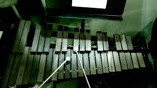 Meg Thomas  The Addams Family Theme on Xylophone [upl. by Hakym914]