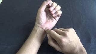 WRIST JOINT  MOVEMENTS [upl. by Eenar]