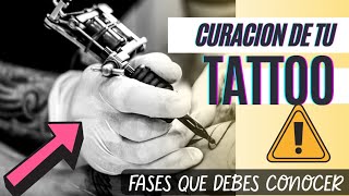 FASES de CURACIÓN de un Tatuaje en El Buho de Papel [upl. by Asert410]