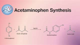 Acetaminophen Synthesis Mechanism  Organic Chemistry [upl. by Akilegna]