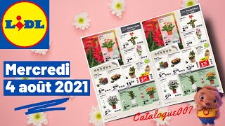 ARRIVAGE LIDL PLANTES amp FLEURS  4 AOÛT 2021 [upl. by Koah]