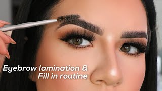 Brow Lamination amp Brow Tutorial How I Fill Them In [upl. by Yeuh3]