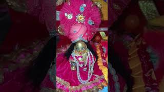 Kankariya se matki fhodi 😭vaishnavivikalyoutube radheradhe harekrishna laddugopal love shorts [upl. by Paine52]