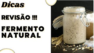 Tudo sobre o Fermento Natural  Um resumo importante para você dominar esta técnica [upl. by Fairfield929]