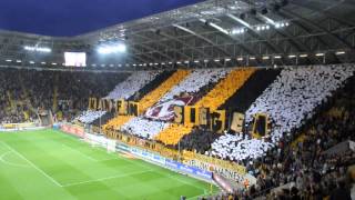 210314 Dynamo Dresden vs Fürth  Choreo [upl. by Ahmed]