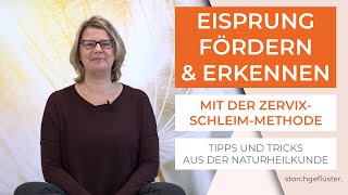 Eisprung natürlich fördern und erkennen mit der ZervixschleimMethode 🌱 Tipps aus der Naturheilkunde [upl. by Gertrude]