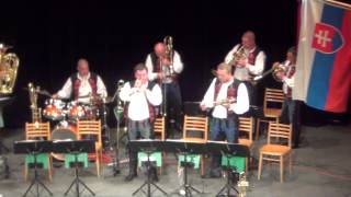 Kapelle Drietomanka  Südböhmische  Jihočeská Polka [upl. by Jack405]