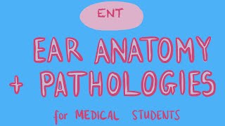 ENT  Ear Anatomy  Pathologies for Medical Students [upl. by Lyrem]