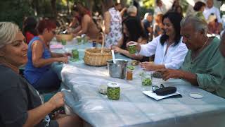 Sea Garden Harvest Day  Sea Garden Zeytin Hasadı [upl. by Lothair43]