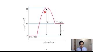 Stage 2 Chemistry 21 Rates of Reactions Part 1 of 2 [upl. by Darrin]