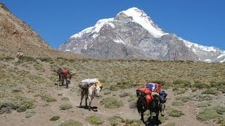 Aconcagua Polish Traverse [upl. by Eamaj]