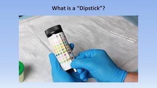 Interpretation of the Urinalysis Part 2  The Dipstick [upl. by Rattan440]