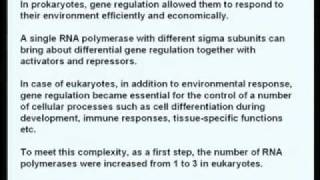 Mod01 Lec01 Eukaryotic RNA polymerases and basal transcription factors [upl. by Ardnuaek]