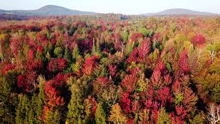 Vermont Autumn Colors by Drone [upl. by Eidna]