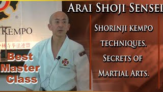 Shorinji Kempo techniques Secrets of Martial Arts Master Class Sensei Arai 少林寺拳法 技 武道少林寺拳法 [upl. by Hurleigh]