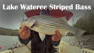 Lake Wateree Striper Fishing Tips  How To Catch River Stripers on Lake Wateree [upl. by Ybur]