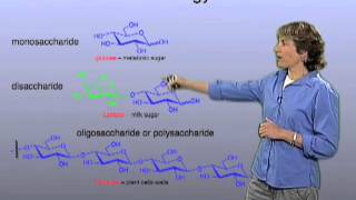 Glycans  Carolyn Bertozzi Berkeley [upl. by Iras]