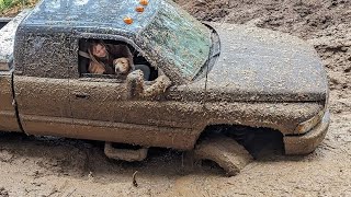 FAIL❌WIN🏆EXTREME OFF ROAD 4X4 BROOKEN CARS CRAZY DRIVERS COMPILATION REACTION best of week [upl. by Anirehtak]