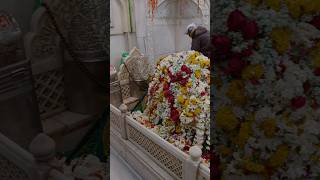 Remove The Black Magic💀At Mirawali Baba Dargah ☪️ Ahmednagar Watch Full Video link👆 [upl. by Anaihs]