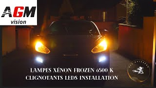 INSTALLATION AMPOULES XENON AGM VISION D1S FROZEN EFFECT 6500K  CLIGNOTANTS LEDS AVANTS RCZ [upl. by Ecarg456]