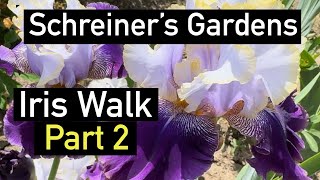 Garden tour Irises with names part 2 iris garden gardeninspiration gardentour flowers [upl. by Notled280]