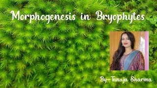 Morphogenesis in Bryophyte [upl. by Drye]